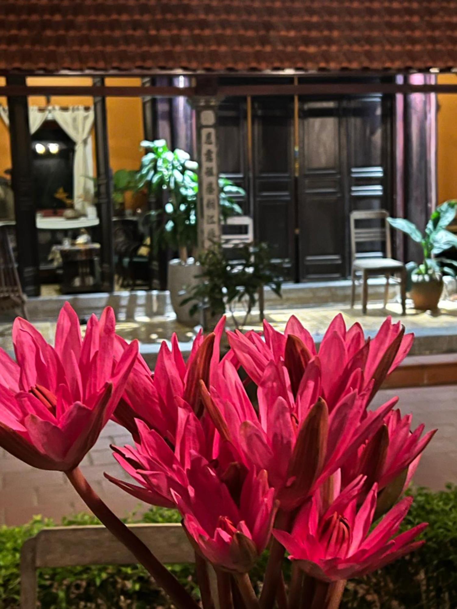 Hotel Thom'S House Ninh Binh Exterior foto
