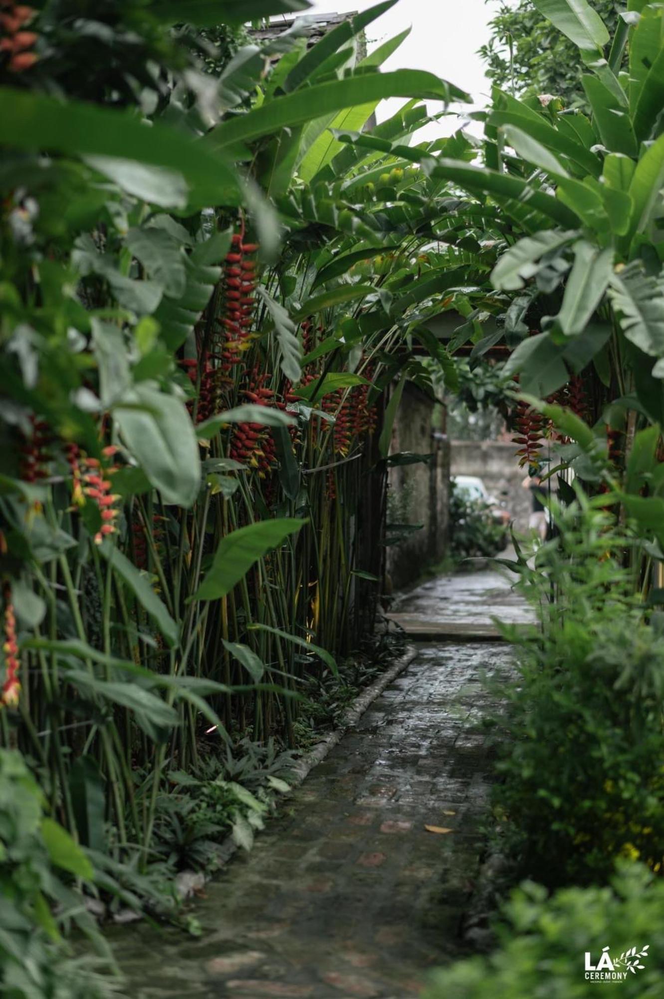 Hotel Thom'S House Ninh Binh Exterior foto