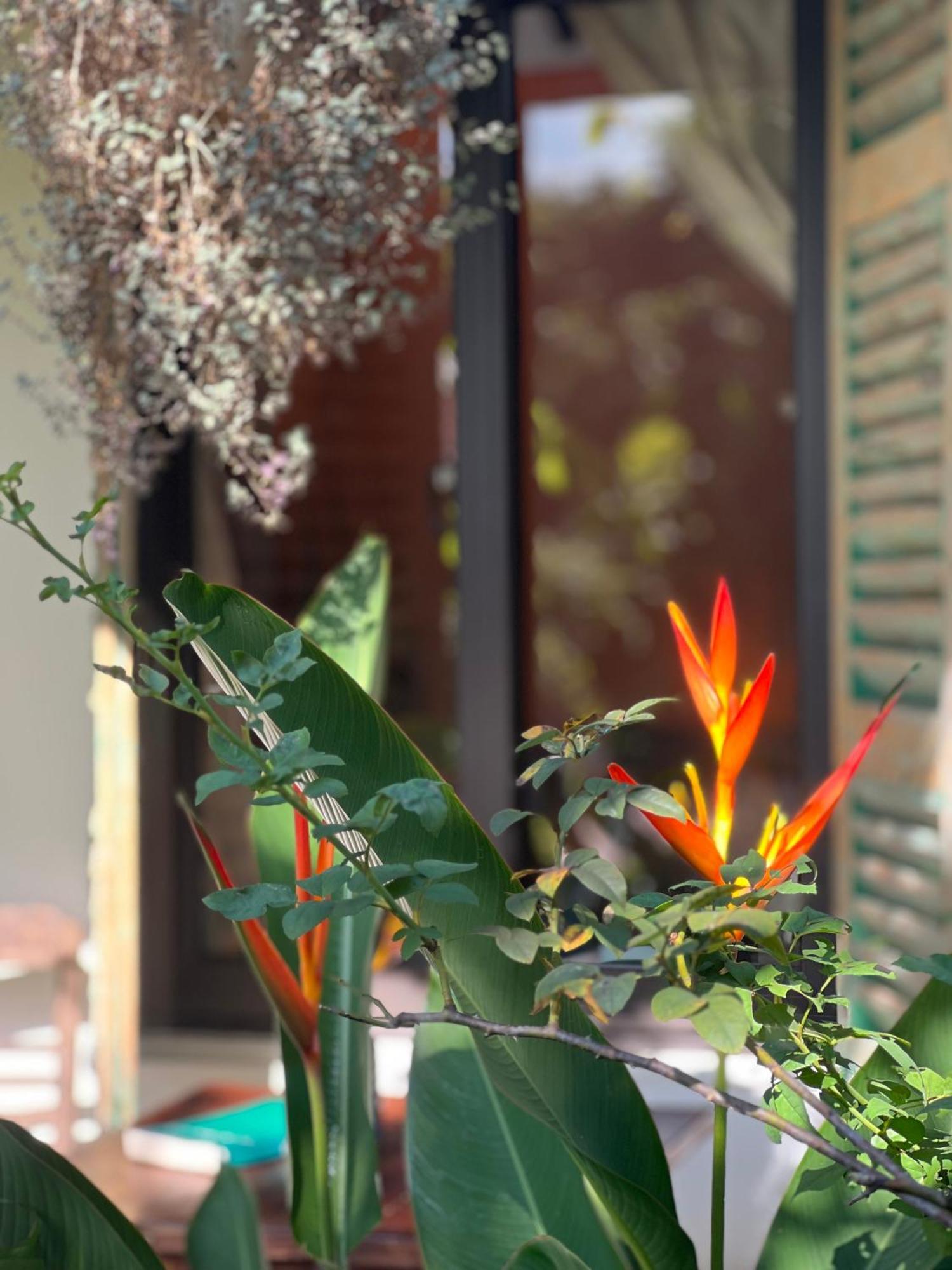 Hotel Thom'S House Ninh Binh Exterior foto