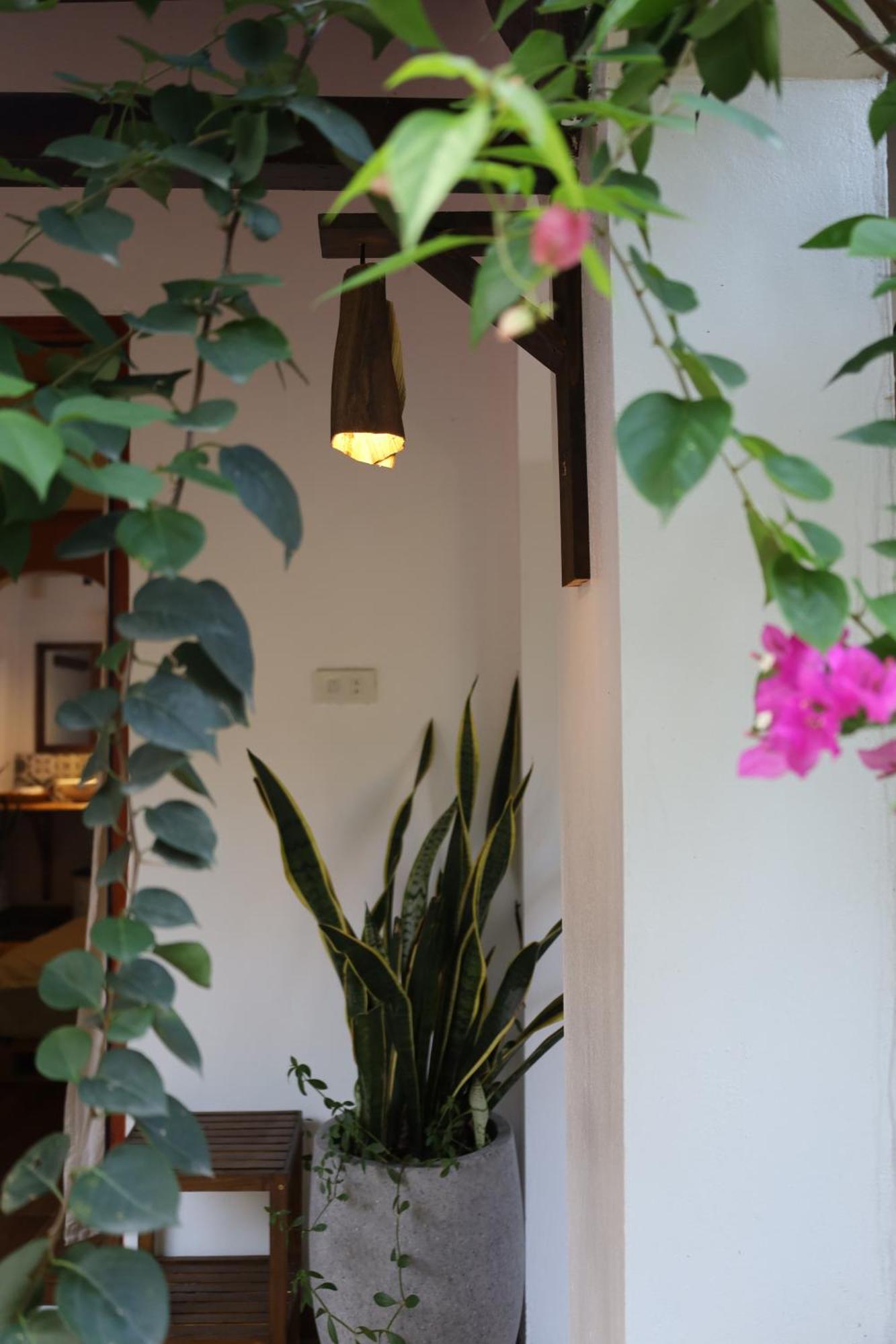 Hotel Thom'S House Ninh Binh Exterior foto
