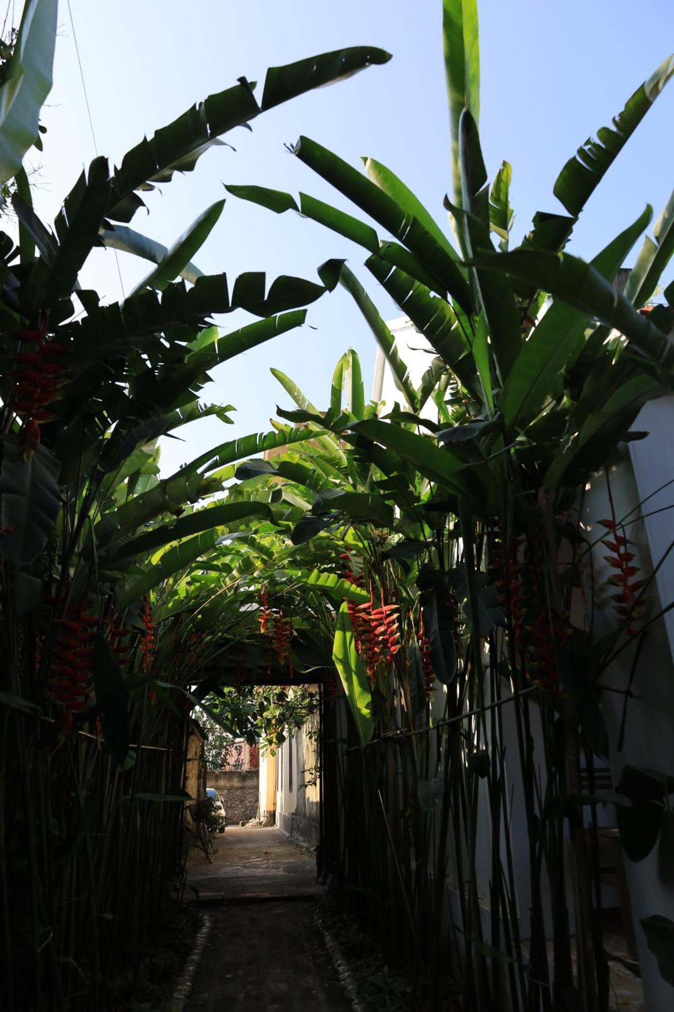 Hotel Thom'S House Ninh Binh Exterior foto