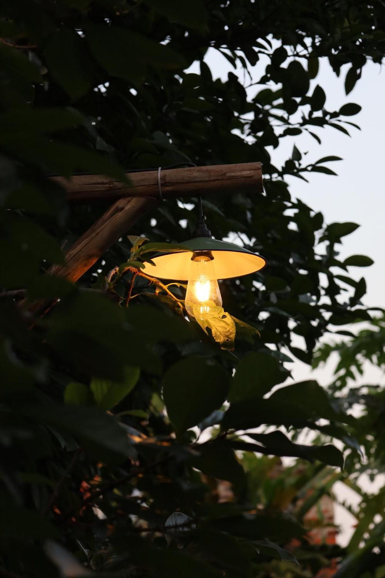 Hotel Thom'S House Ninh Binh Exterior foto