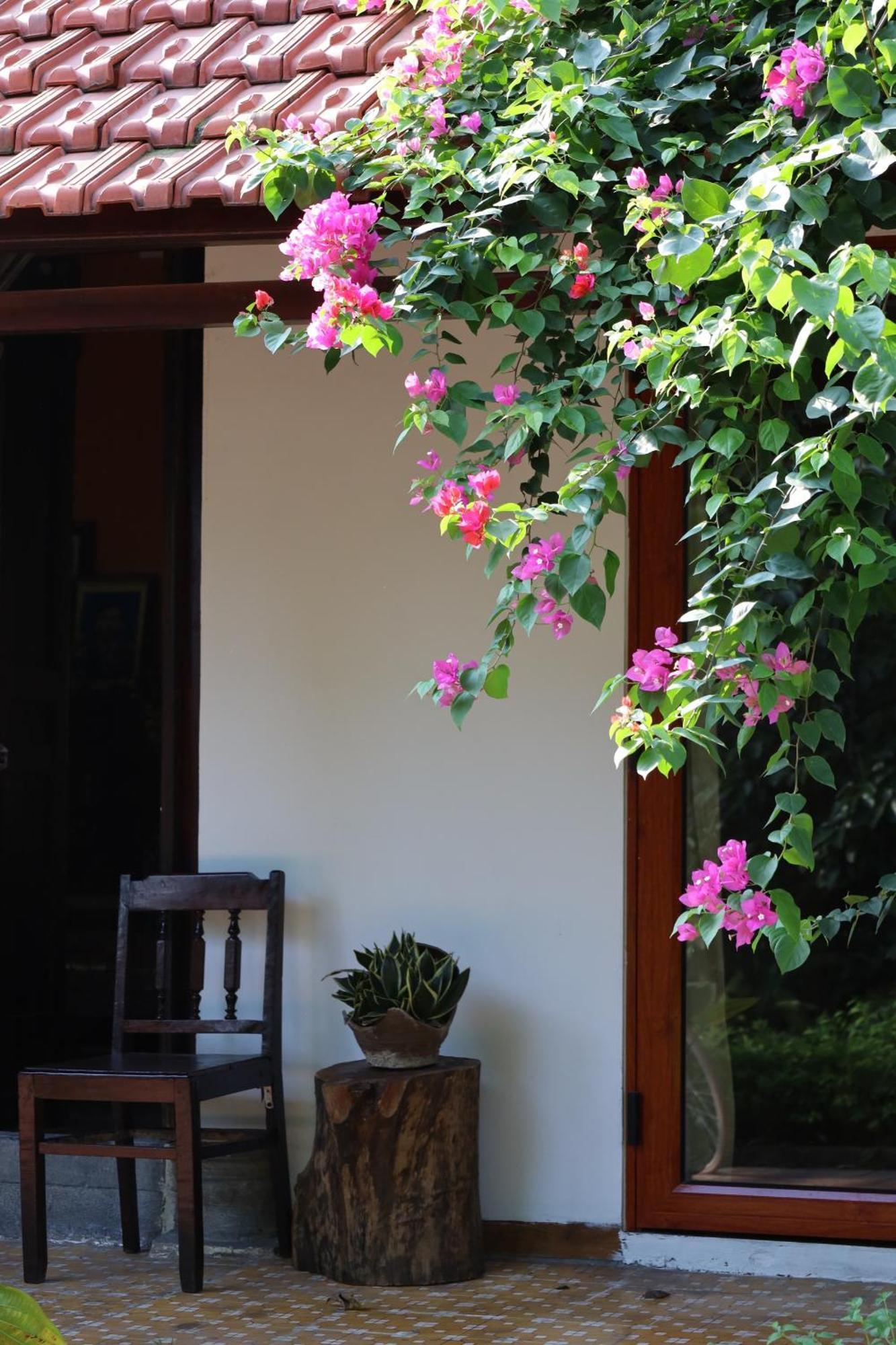 Hotel Thom'S House Ninh Binh Exterior foto